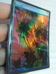 Island #25.3 Foil Extended